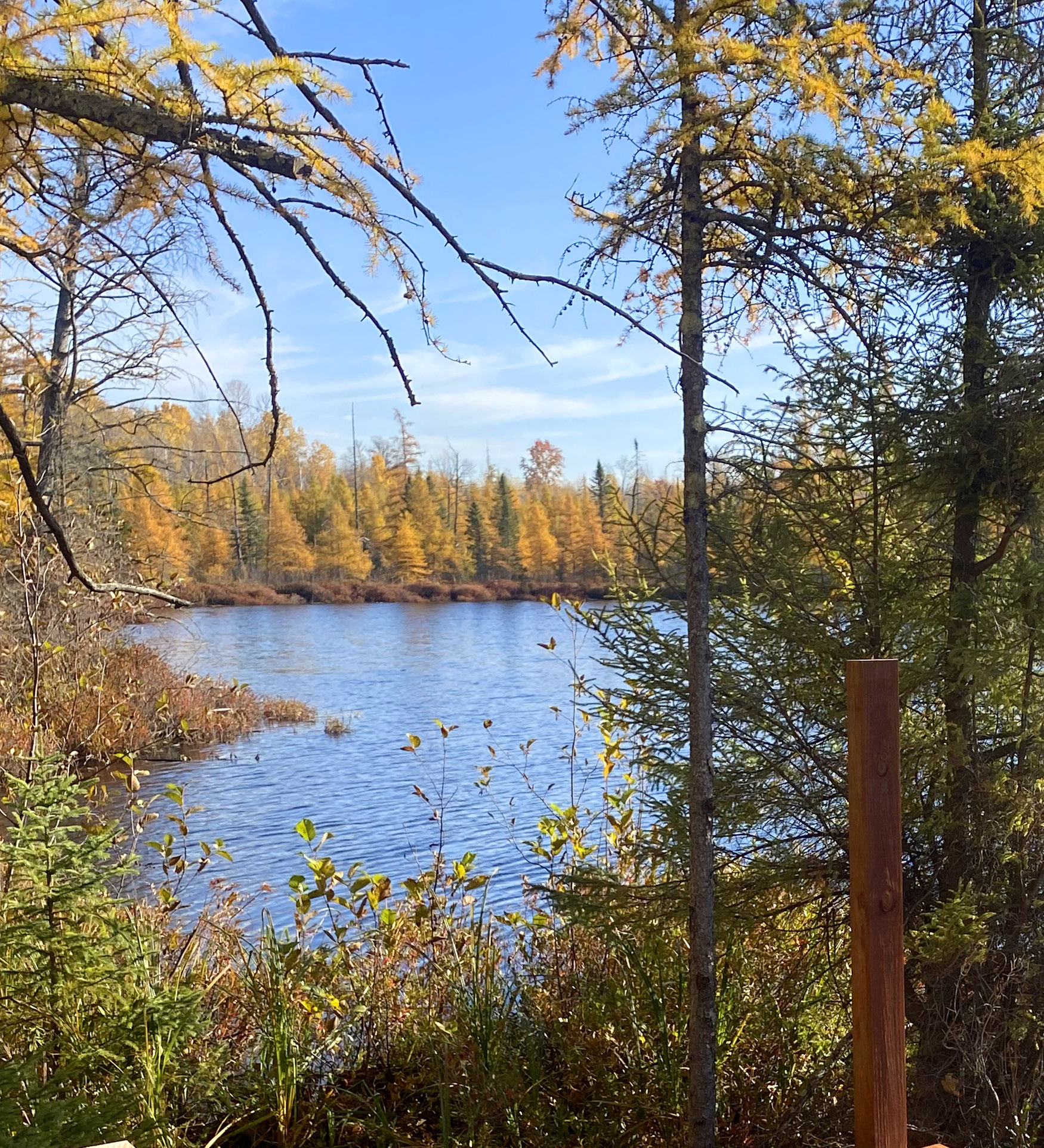 River flowing through autumn landscape; trees with yellow leaves frame the scene under a blue sky.